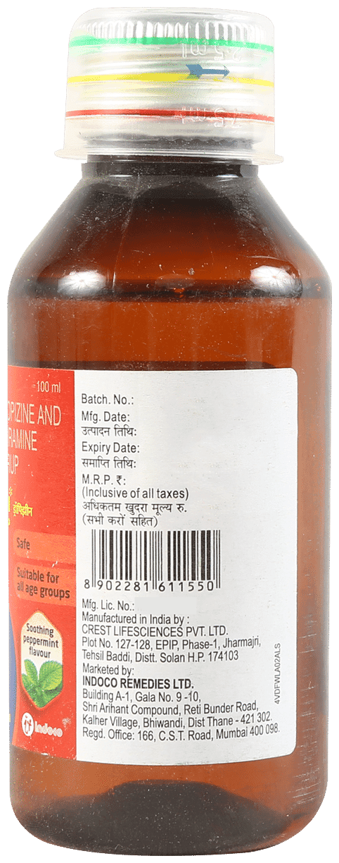 DROPIZIN SYP 100ML 100ML - Scraped Image