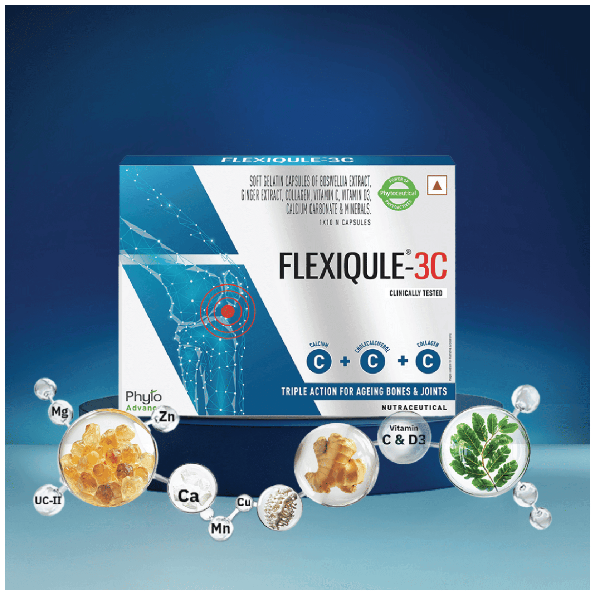 FLEXIQULE 3C 10X10 - Scraped Image