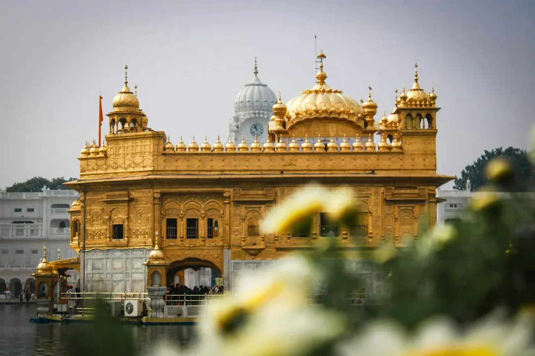 Pharmaceutical Wholesaler in Amritsar — Big Seal Pharma